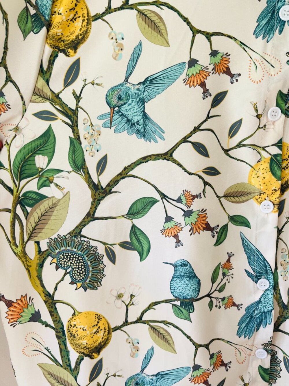 Womens Sz XL Hummingbird and Lemon Blouse Shirt Botanical Button Down - Picture 4 of 9